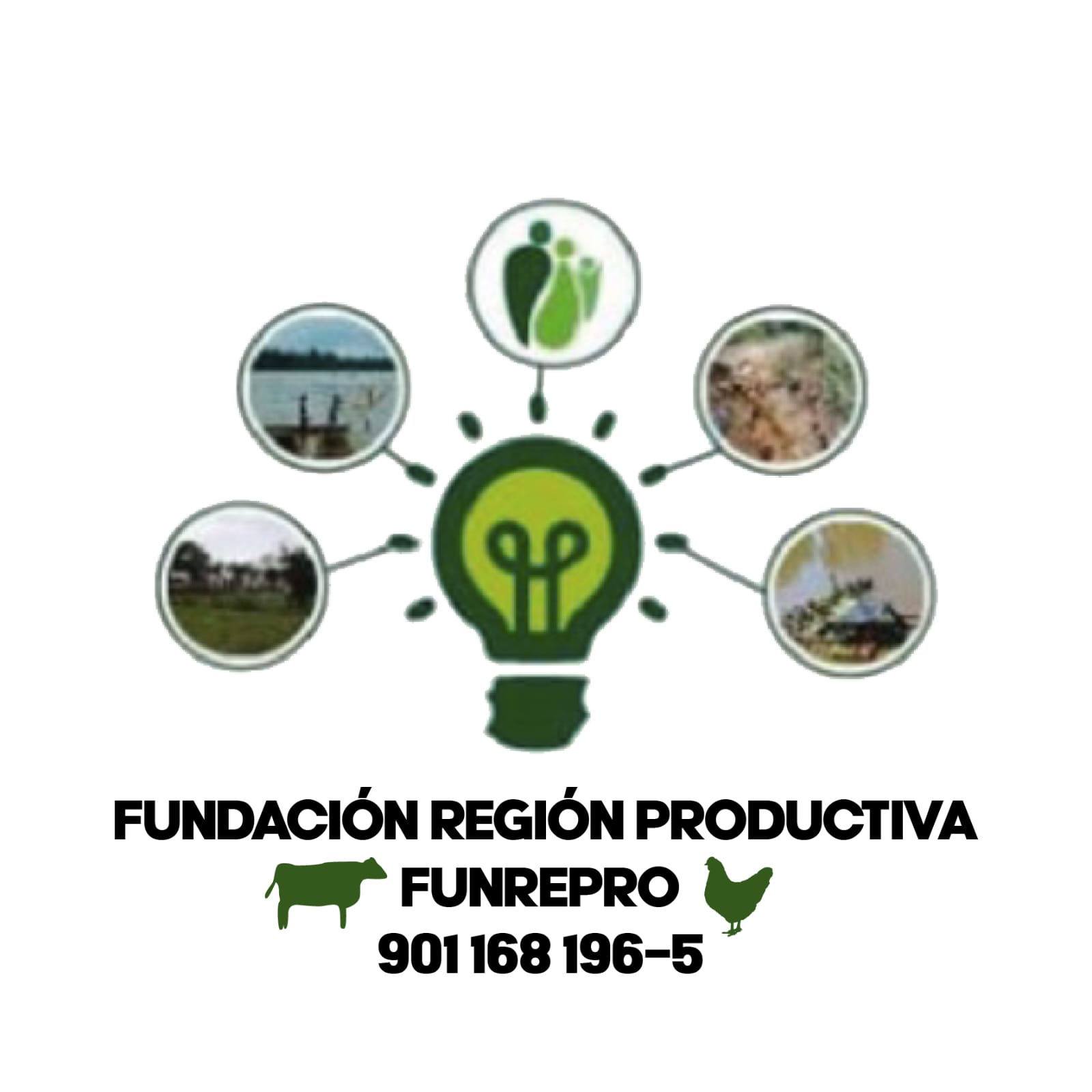 Fundación Región Productiva